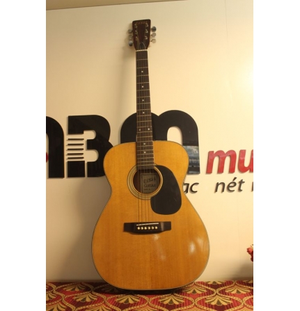 Đàn guitar ELVJS F-150